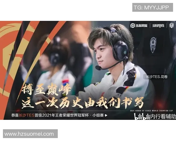 聚焦王者荣耀TES战队的迅速崛起与战术创新探讨